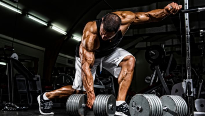 Kevin Levrone Workout Routine