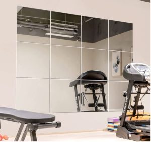 Murrey Home Gym Mirrors 