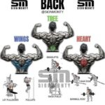 Back Workout for Wings
