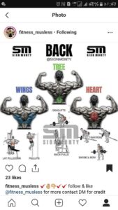 Back Workout for Wings