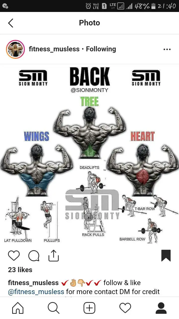 Back Workout for Wings