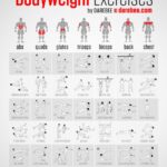 Bodyweight Workout Program Pdf