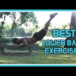 Lower Back Calisthenics Exercises