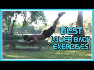 Lower Back Calisthenics Exercises