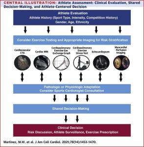 What'S a Common Adaptation to Cardiovascular Training