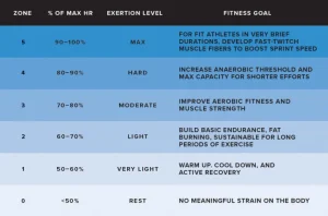 Which Activity is Not Considered a Cardiovascular Activity