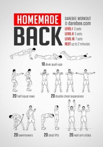 Back And Biceps Workout at Home Without Equipment