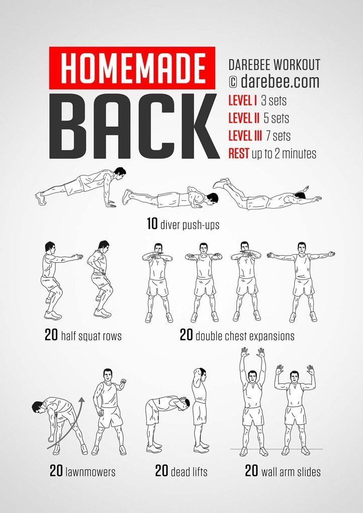 Back And Biceps Workout at Home Without Equipment