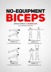 Home Bicep Workout No Weights