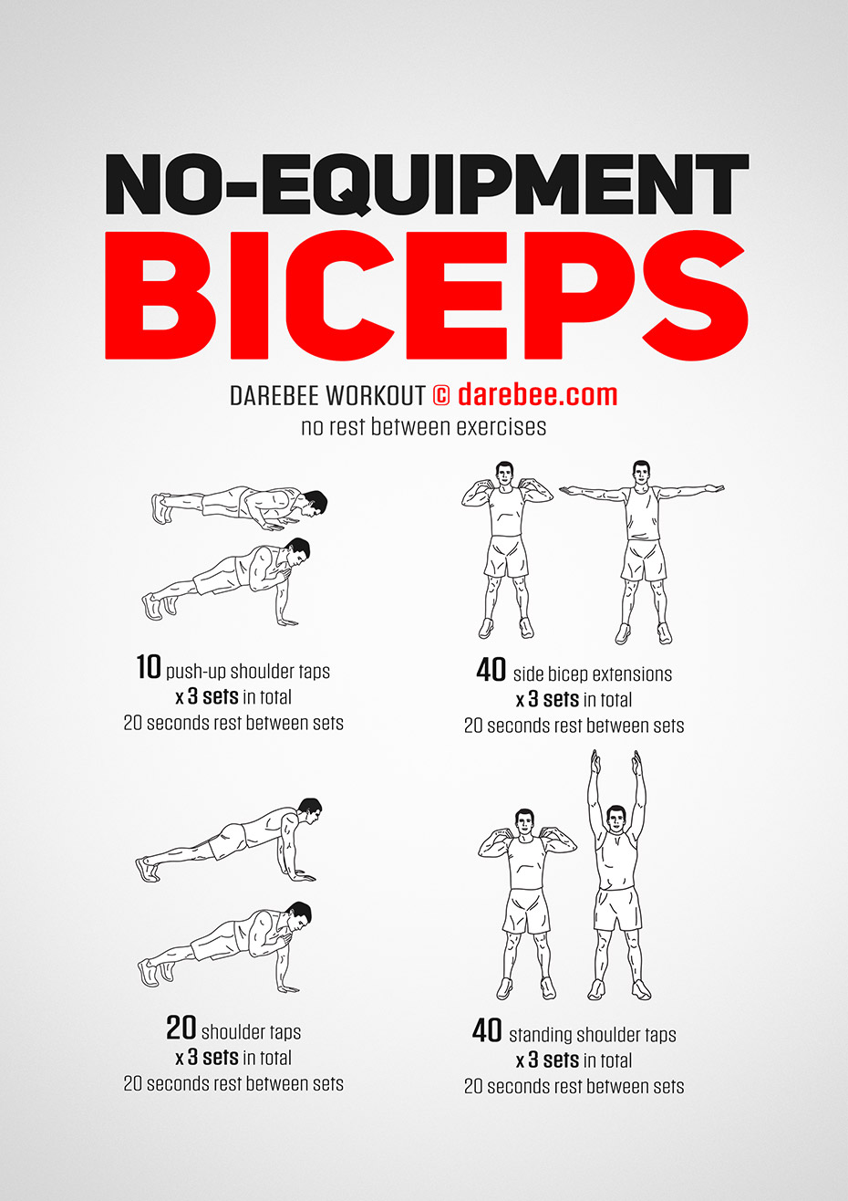 Home Bicep Workout No Weights