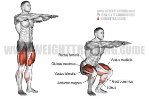 Bodyweight Squat Exercises