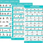 Leg Bodyweight Exercises: Transform Your Home Gym with Vive Posters 20 Leg Bodyweight Exercises