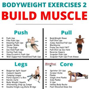 Pull Bodyweight Exercises