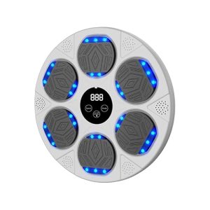 Cardio-Boxing Workout Regimen