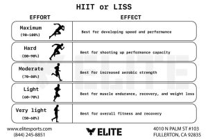 Cardio Workouts for Stamina